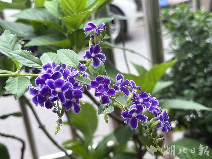 阳光在线平台
